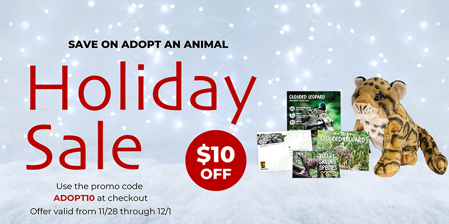 Adopt An Animal Holiday Promo