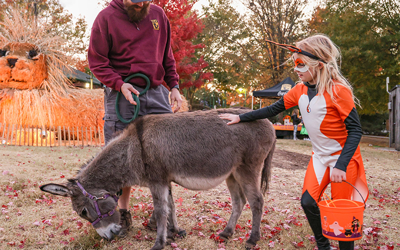 Animal encounter at Boo at the Zoo
