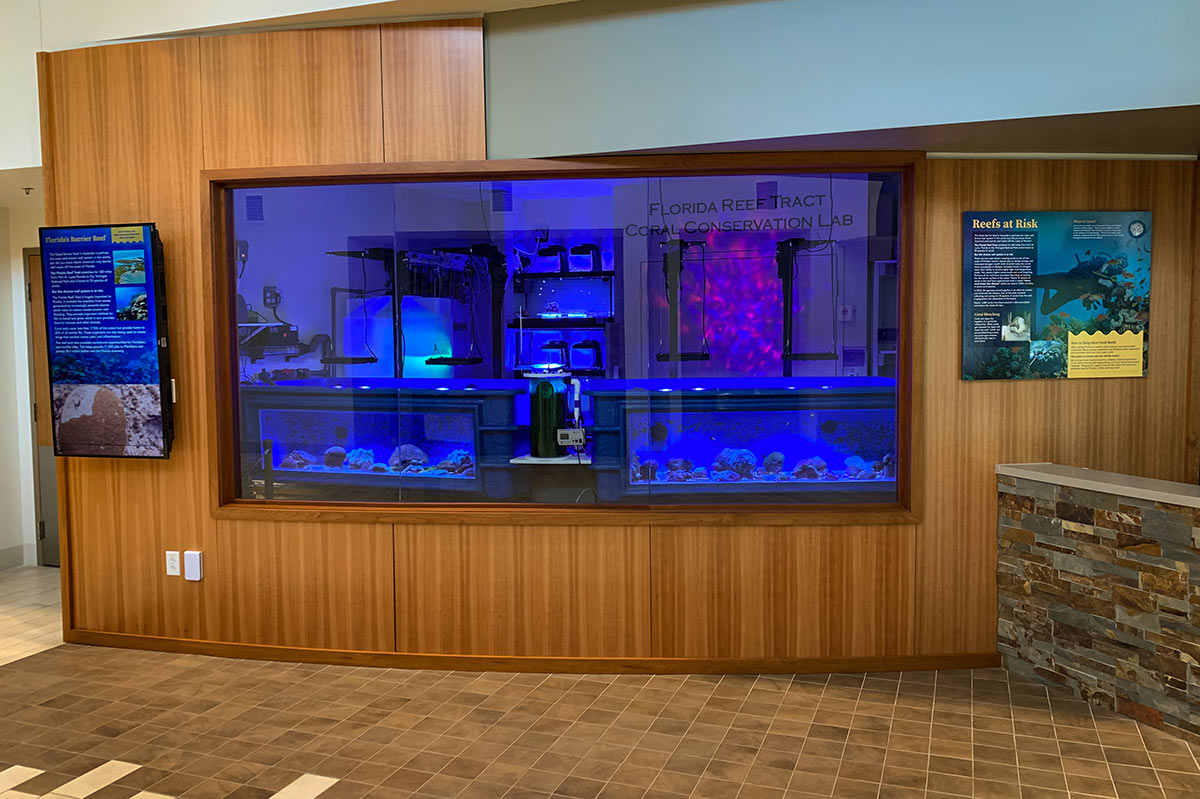 Coral Conservation Lab