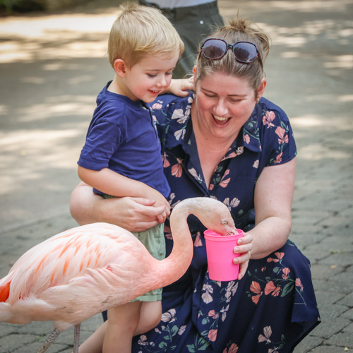 Zoo Membership Gift Certificate