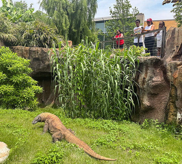 Family at Komodo dragon habitat