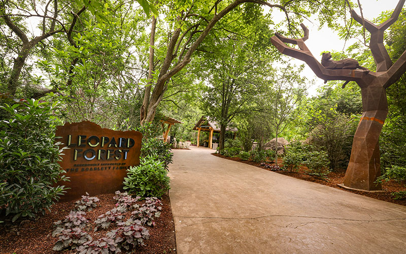 Leopard Forest entrance