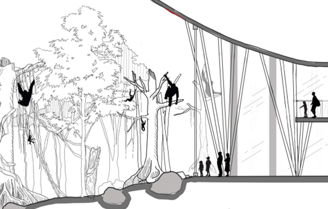 Orangutan Concept Art