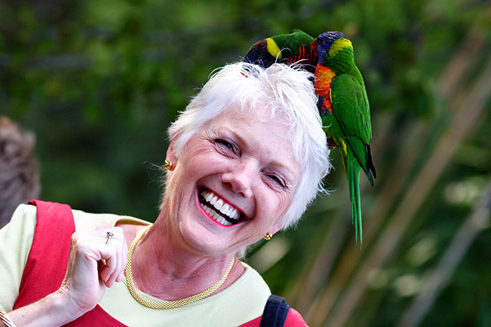 Lorikeets at Nashville Zoo