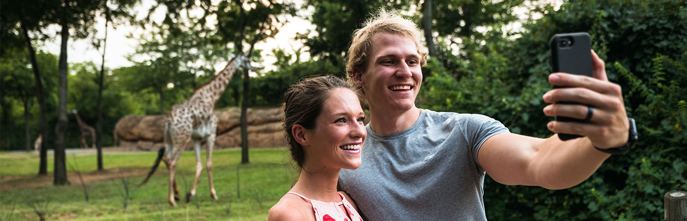 couple taking a selfie with a giraffe in the background
